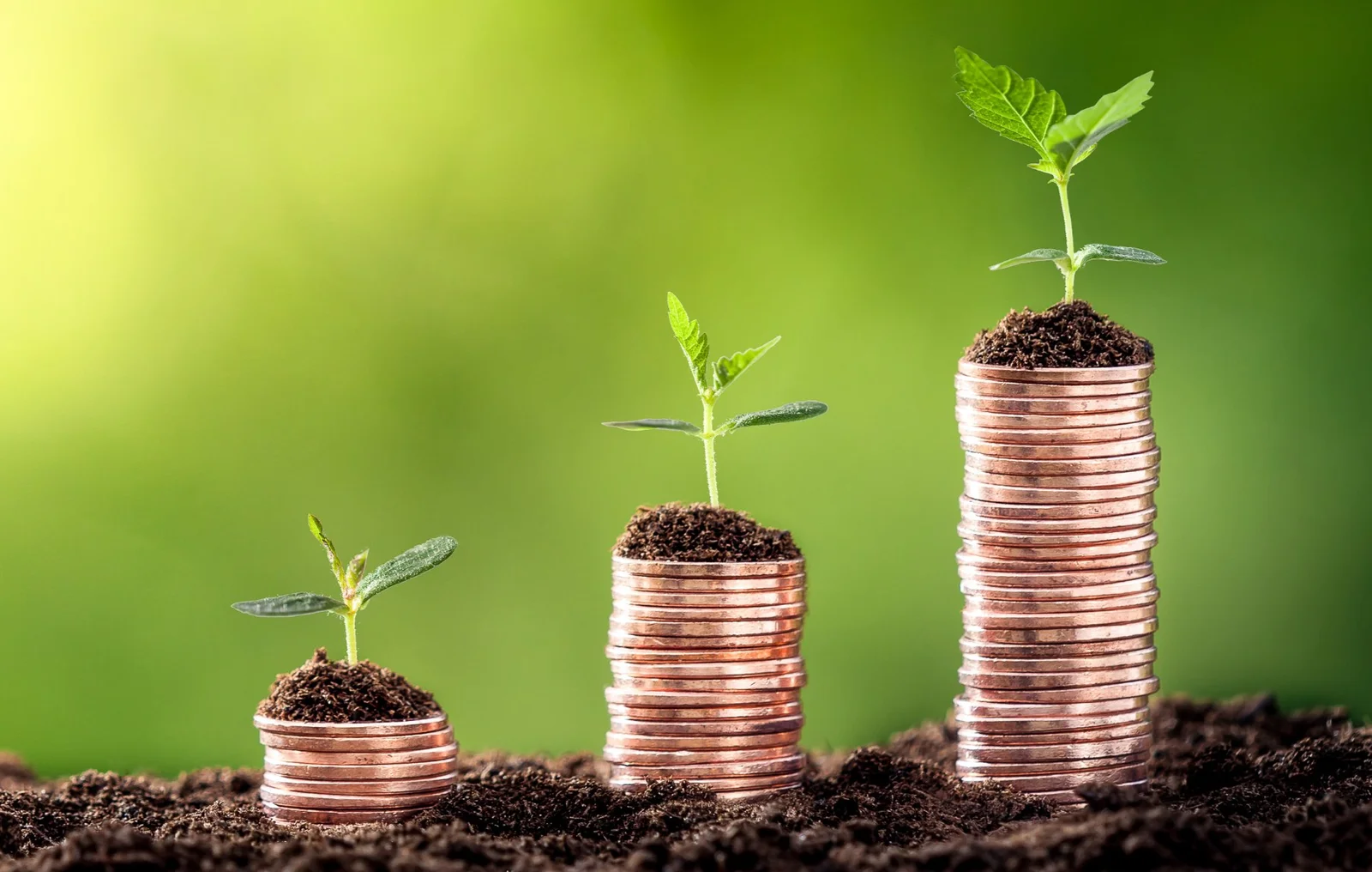 Plants growing from coins, from the original fundraising article