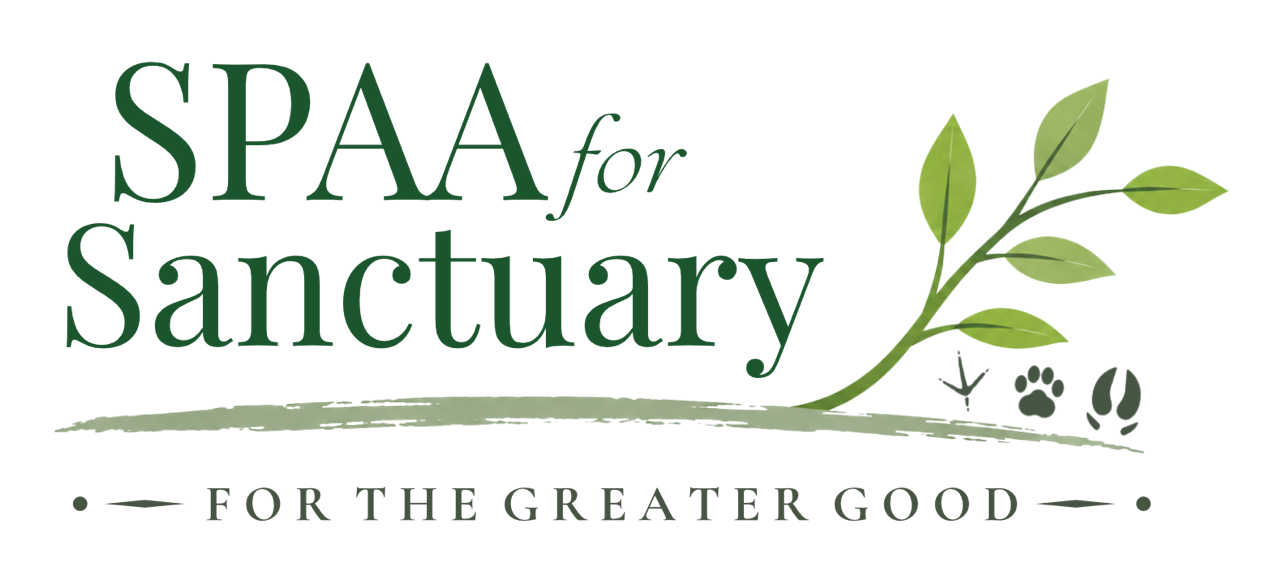 SPAA for Sanctuary