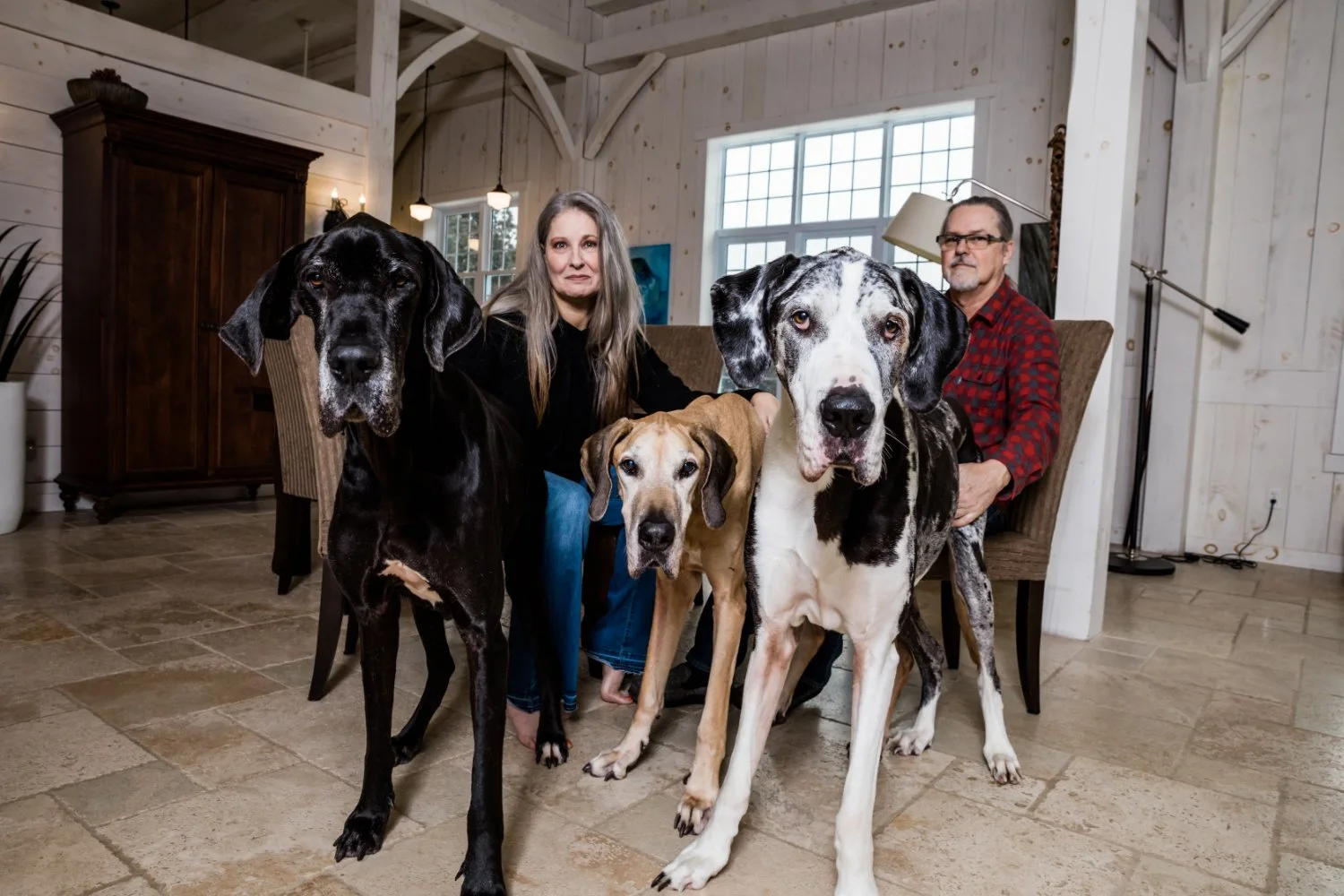 Krista and Nigel with their dogs