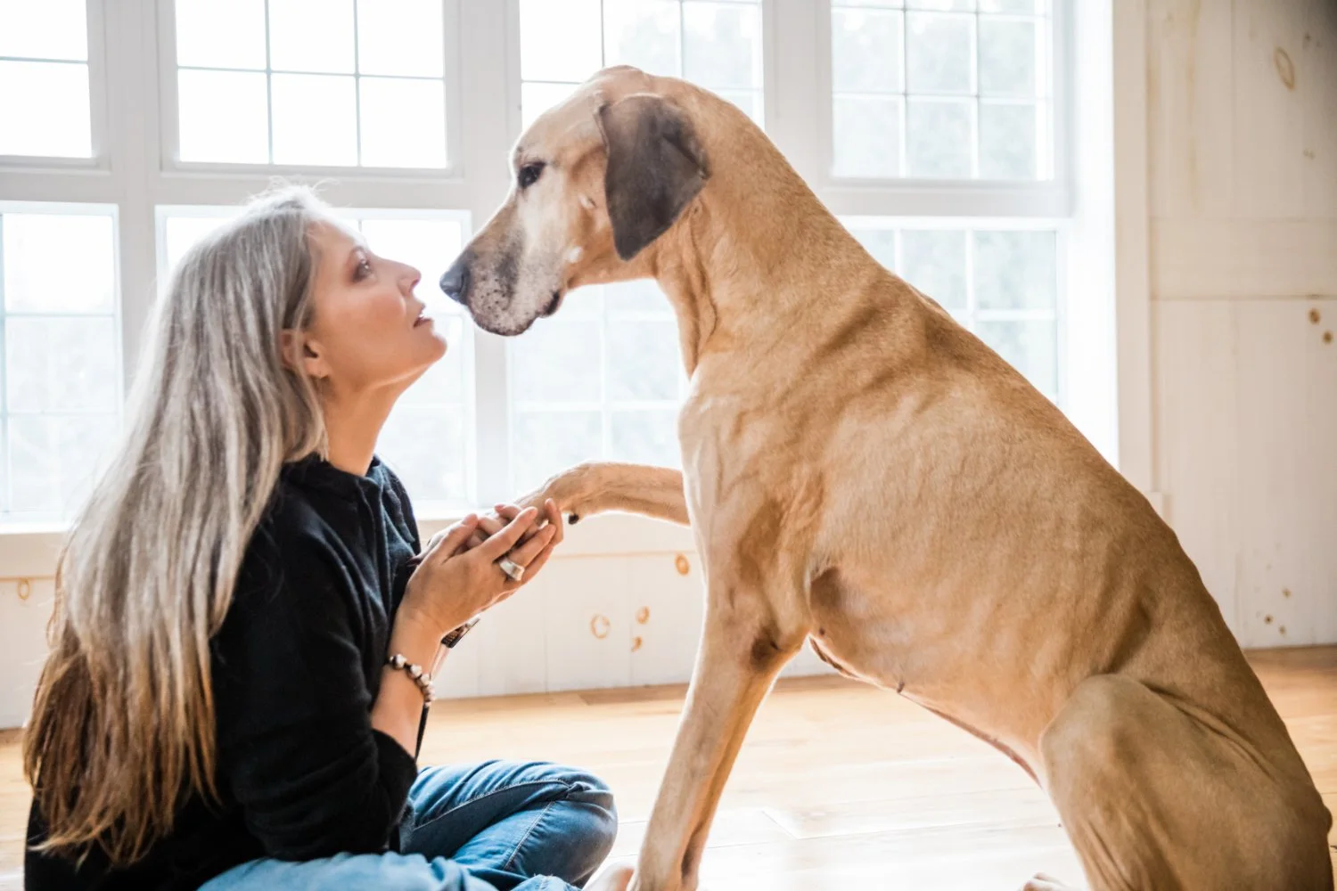Krista kneeling face to face with her Great Dane, Ginger