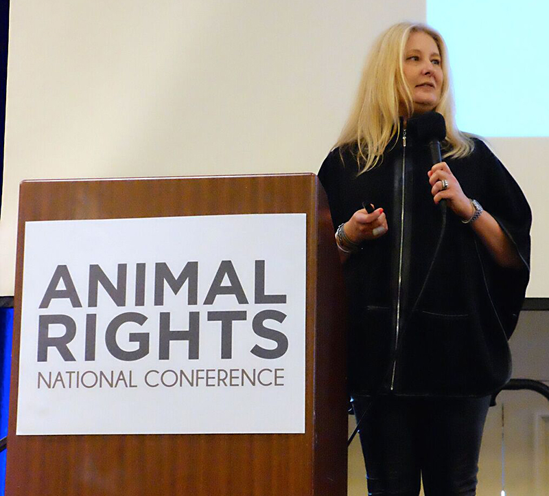 Krista presenting at the Animal Rights National Conference
