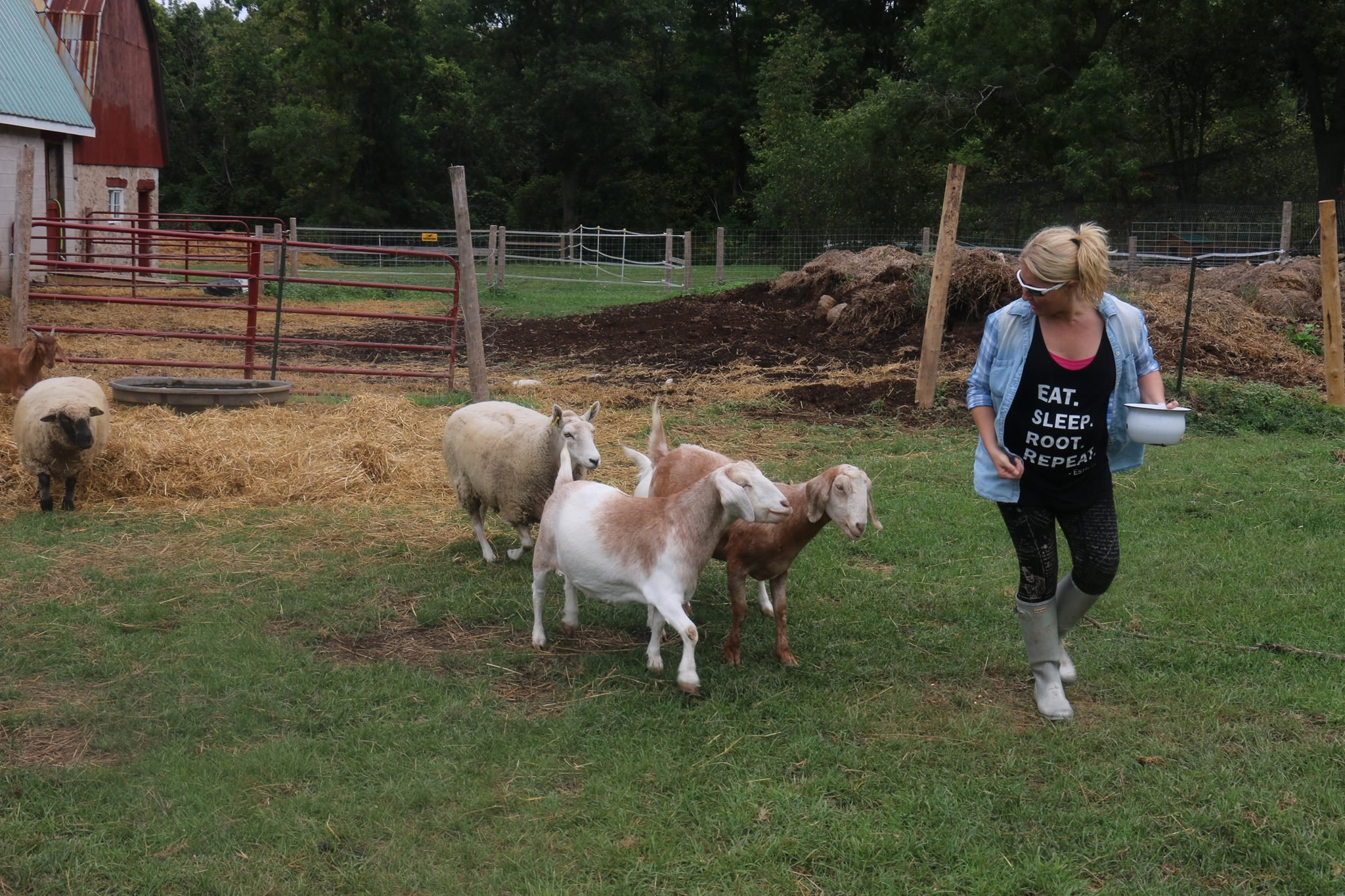 A few of the other residents at Happily Ever Esther Farm Sanctuary .