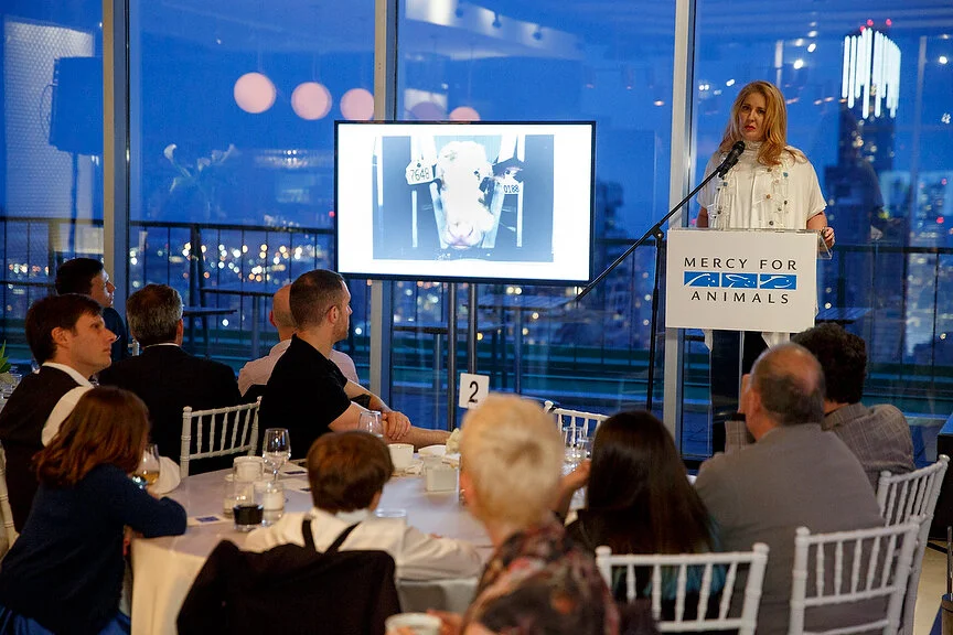 Krista speaking at an annual Mercy For Animals donor event. Toronto, Canada.