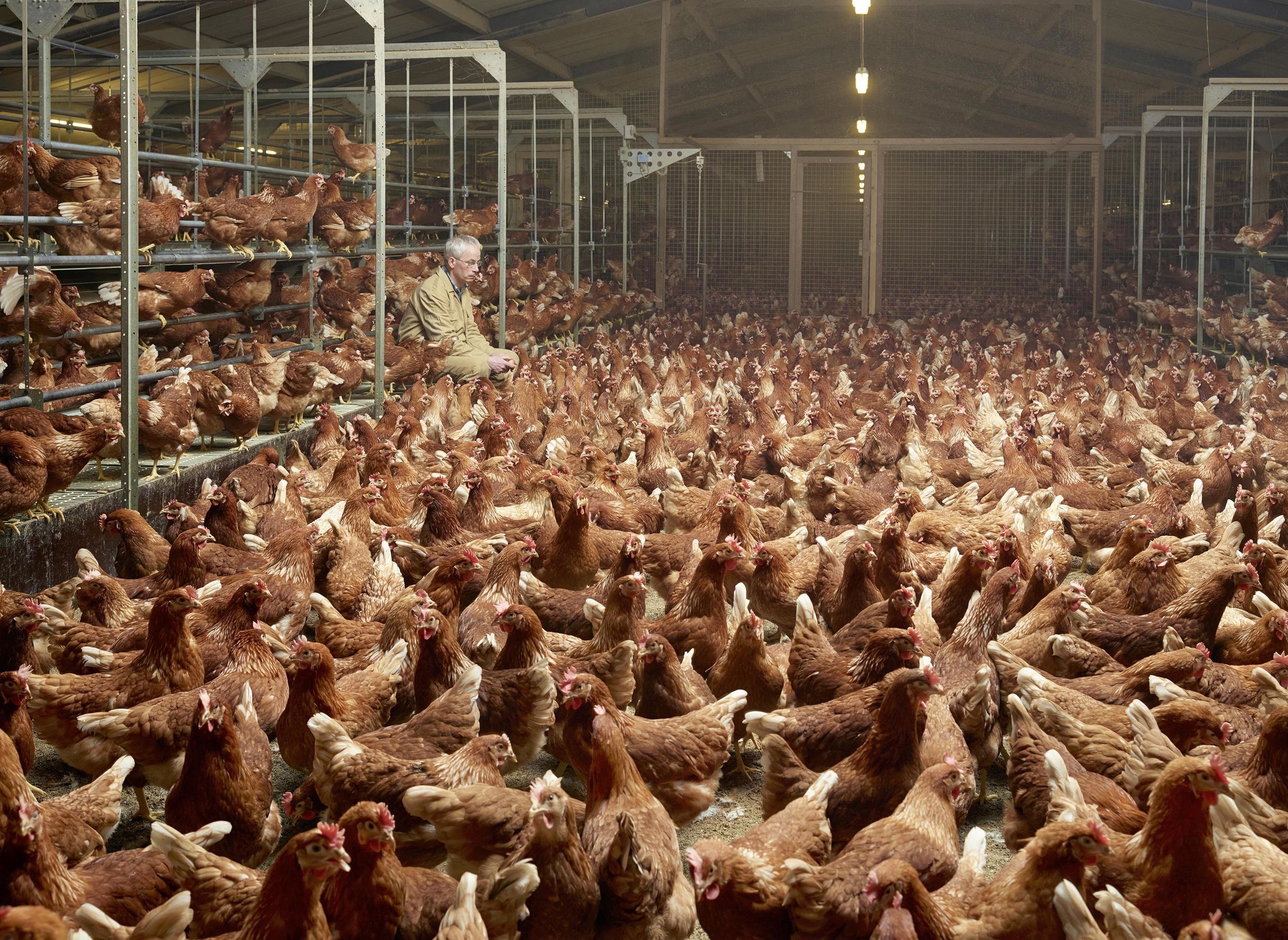 Photo credit: Henk Wildschut.